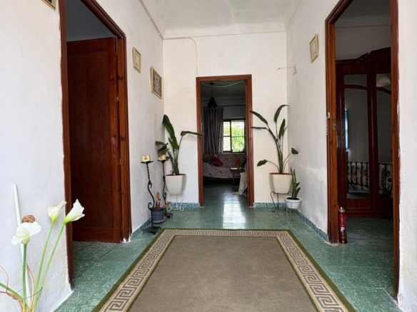 Casa de planta baja con gran patio
